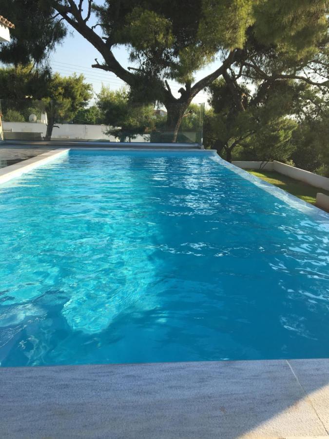 Villa Tranquility Lagonisi Zewnętrze zdjęcie