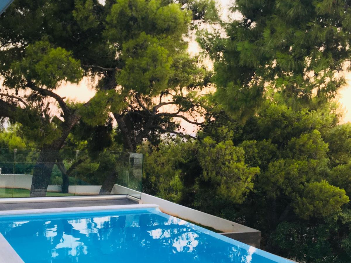 Villa Tranquility Lagonisi Zewnętrze zdjęcie